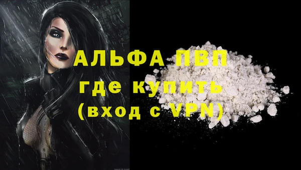 гидра Новокубанск