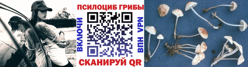 где продают наркотики  Нахабино  Галлюциногенные грибы MAGIC MUSHROOMS 