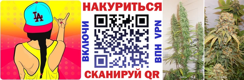 цена   Нахабино  Бошки марихуана Amnesia 